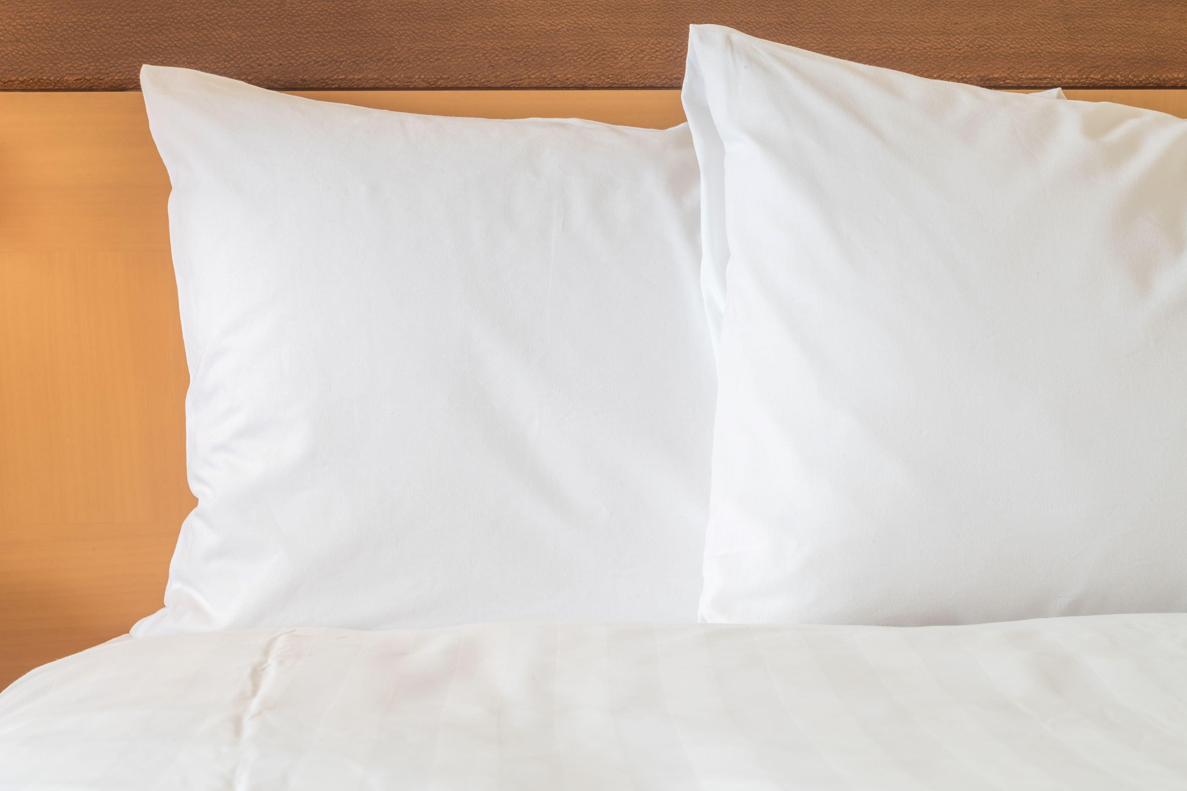 Holiday Inn Express & Suites Tavares By Ihg Extérieur photo